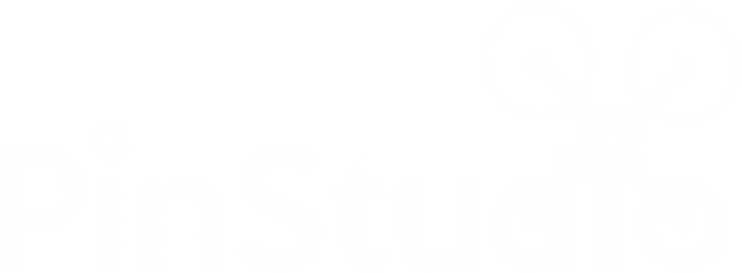Logo PinStudio, productora audiovisual de vídeo i fotografia a Barcelona. Experts en dron i vídeo 360°.